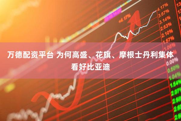万德配资平台 为何高盛、花旗、摩根士丹利集体看好比亚迪